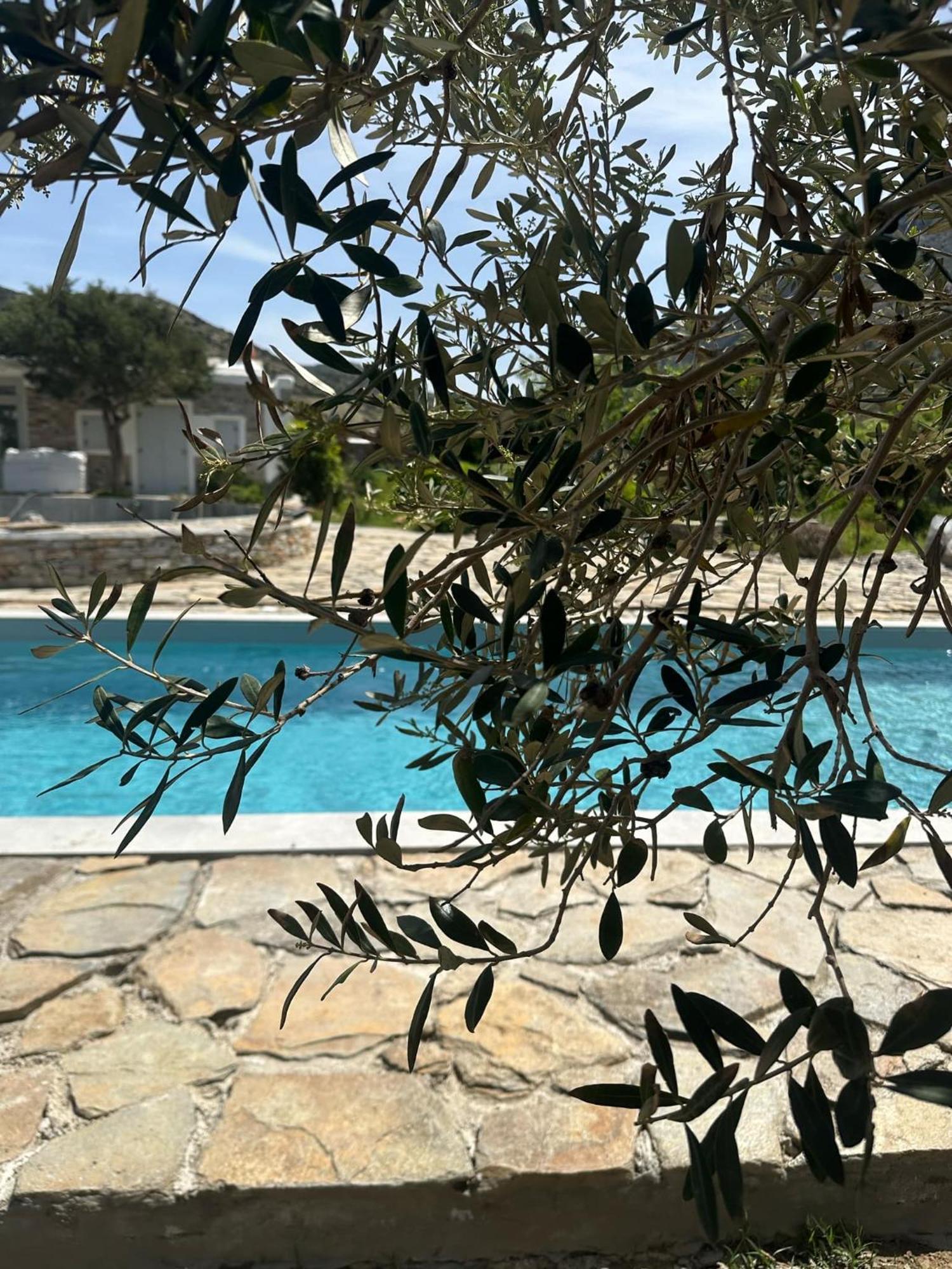 Villa River With Pool Kamares  المظهر الخارجي الصورة